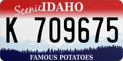 ID license plate K709675