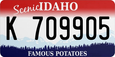 ID license plate K709905