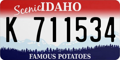 ID license plate K711534