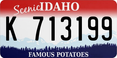 ID license plate K713199