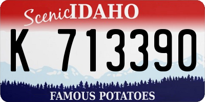ID license plate K713390