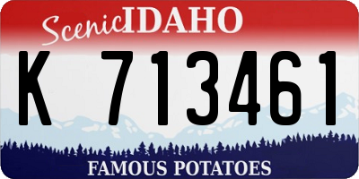 ID license plate K713461