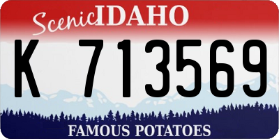 ID license plate K713569