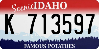 ID license plate K713597