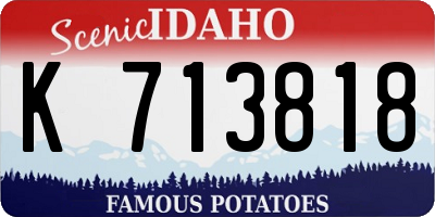 ID license plate K713818