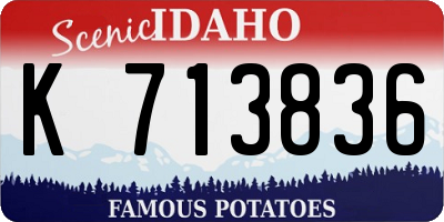 ID license plate K713836