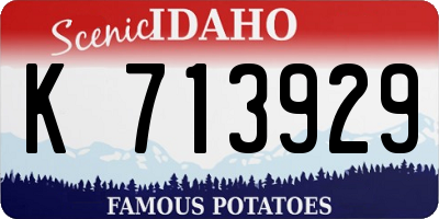 ID license plate K713929