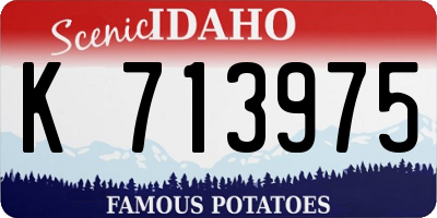 ID license plate K713975