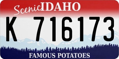 ID license plate K716173