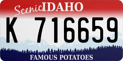 ID license plate K716659
