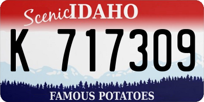 ID license plate K717309