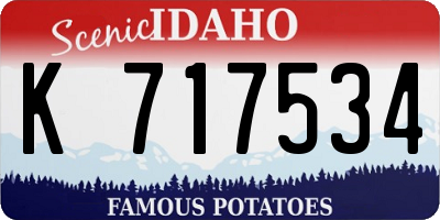 ID license plate K717534