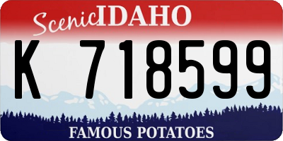 ID license plate K718599