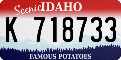 ID license plate K718733
