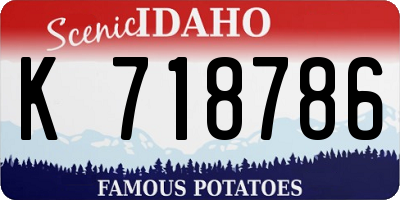 ID license plate K718786