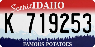 ID license plate K719253