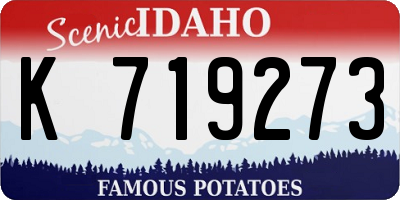 ID license plate K719273