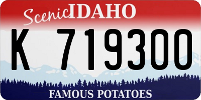 ID license plate K719300