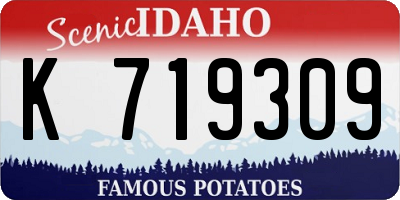 ID license plate K719309