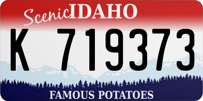 ID license plate K719373
