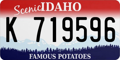 ID license plate K719596