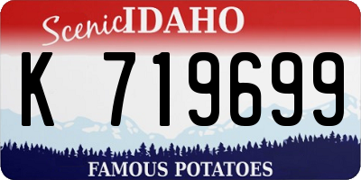 ID license plate K719699