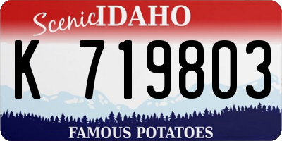 ID license plate K719803