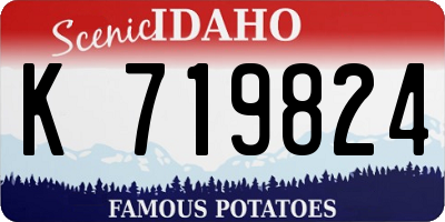 ID license plate K719824