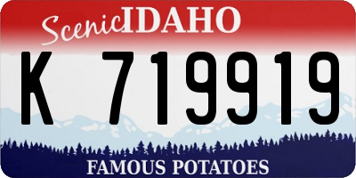 ID license plate K719919