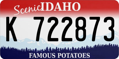 ID license plate K722873