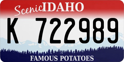 ID license plate K722989