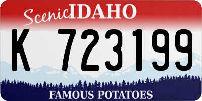 ID license plate K723199