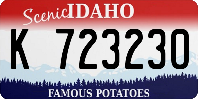 ID license plate K723230