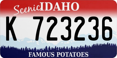 ID license plate K723236
