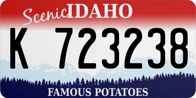 ID license plate K723238