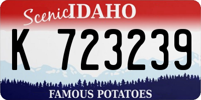 ID license plate K723239
