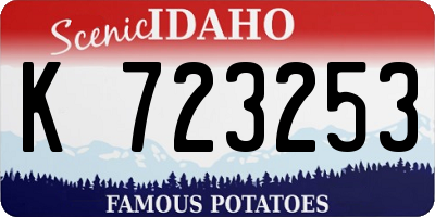 ID license plate K723253