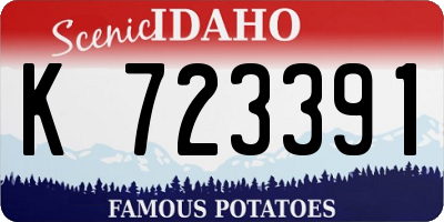 ID license plate K723391