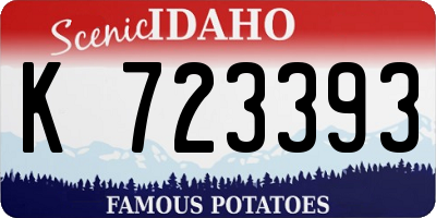 ID license plate K723393