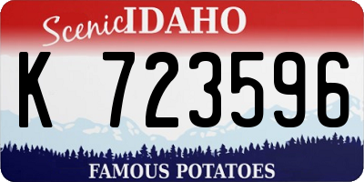 ID license plate K723596