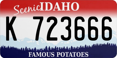 ID license plate K723666