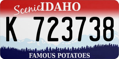 ID license plate K723738