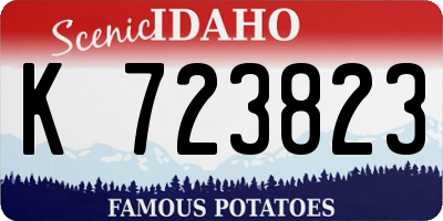 ID license plate K723823