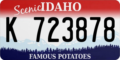 ID license plate K723878