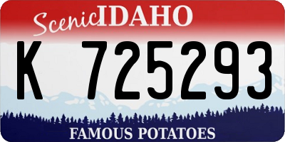 ID license plate K725293