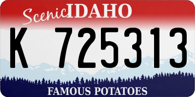 ID license plate K725313