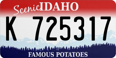 ID license plate K725317