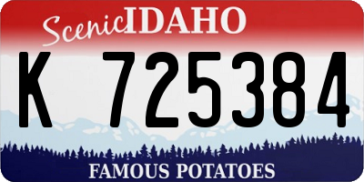 ID license plate K725384
