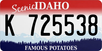 ID license plate K725538