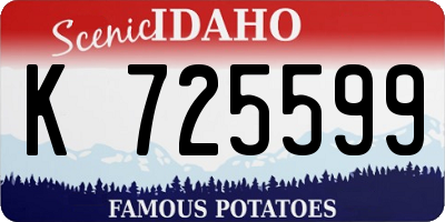 ID license plate K725599